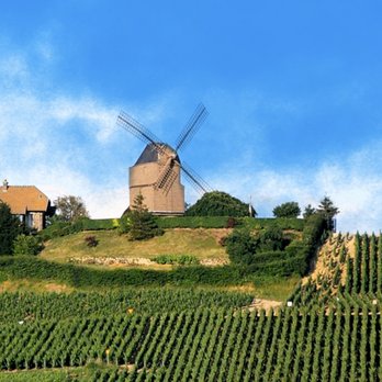 Illustration 18